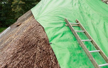 maintaining Tanis thatch