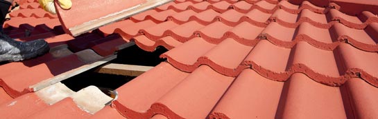 compare Tanis roof repair quotes