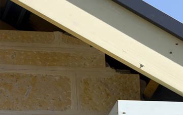 soffit repair Tanis