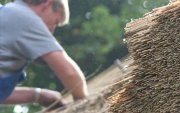 professional Tanis thatchers