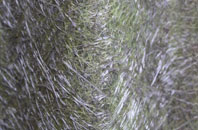 Tanis fibreglass roof work