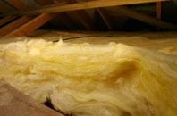 Tanis pitch roof insulation